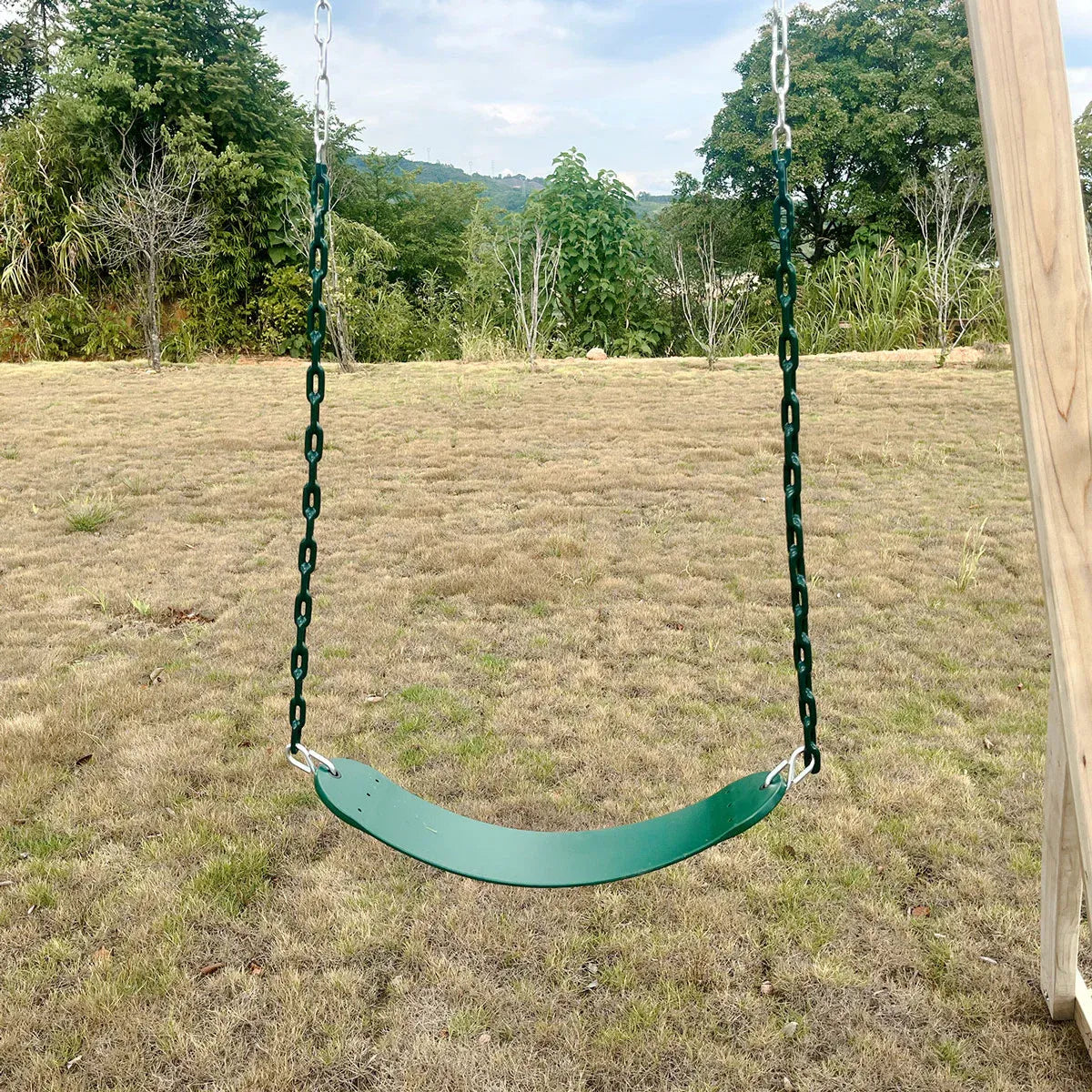 Lifespan Kids Daintree 2-in-1 Monkey Bars & Swing Set Awezingly
