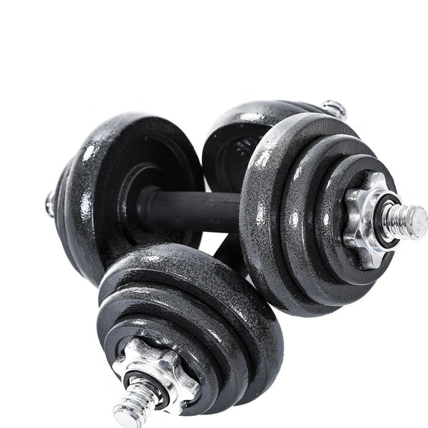 20KG Cast Iron Dumbbell Set Weight Dumbbells Home Gym Training Fitness BarBell Case Does Not Apply