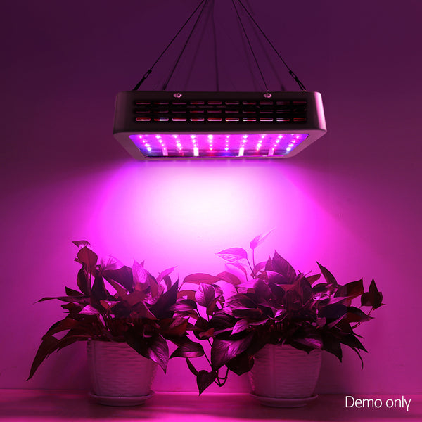 Greenfingers 1000W LED Grow Light Full Spectrum freeshipping - Awezingly