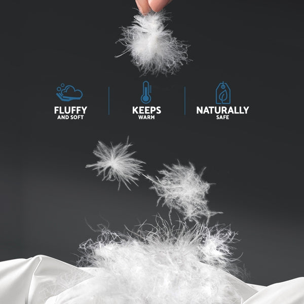 Giselle Bedding Super King Size Duck Down Quilt freeshipping - Awezingly