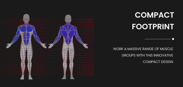 PROFLEX Weight Bench Workout Gym Press Adjustable Lifting Fitness Folding Bands PROFLEX