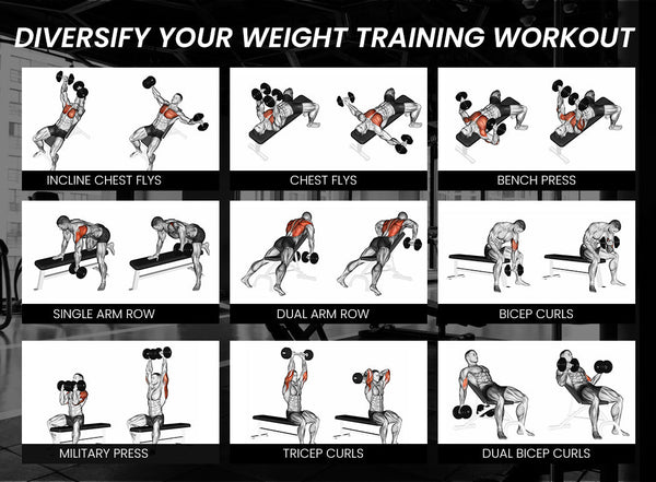 PROFLEX Weight Bench Workout Gym Press Adjustable Lifting Fitness Folding Bands PROFLEX