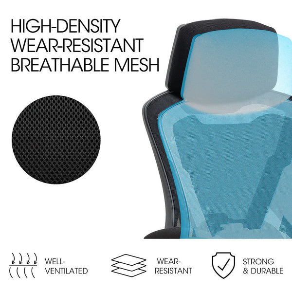 FORTIA Ergonomic Office Desk Chair, Height Adjustable Lumbar Support, Mesh Fabric, Headrest, Black Fortia