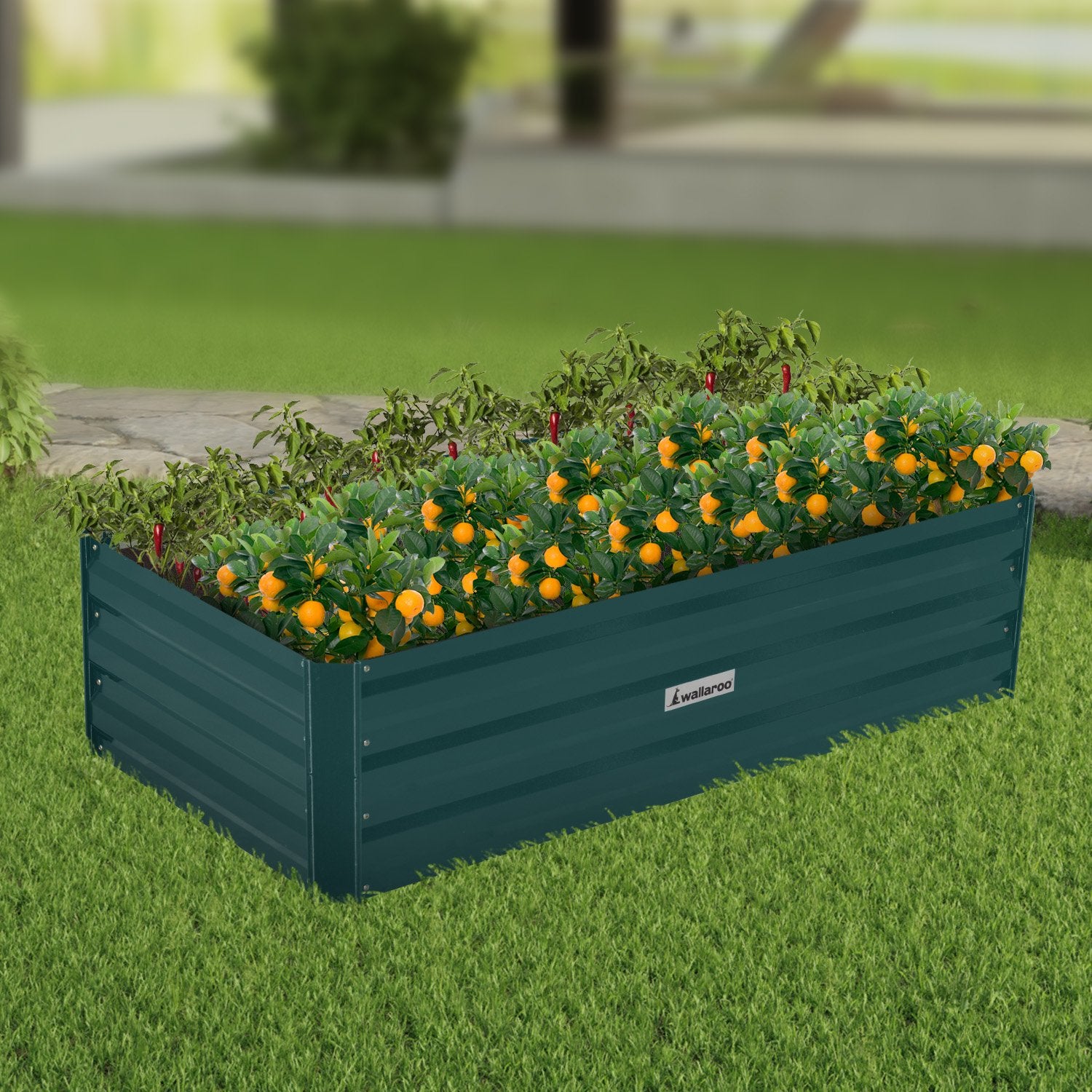 Wallaroo Garden Bed 120 x 60 x 30cm Galvanized Steel - Green Wallaroo