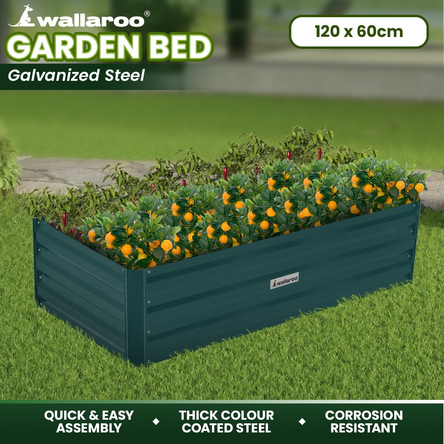 Wallaroo Garden Bed 120 x 60 x 30cm Galvanized Steel - Green Wallaroo