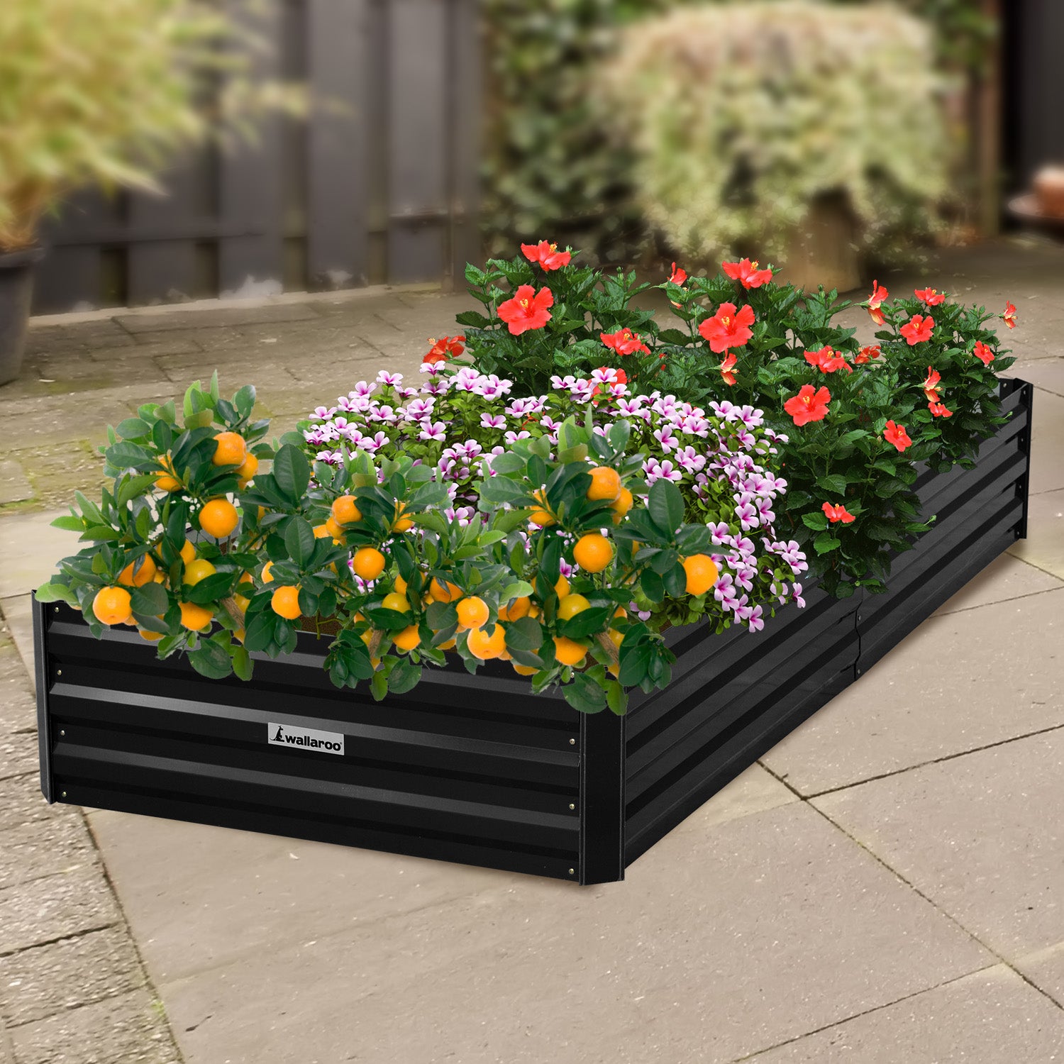 Wallaroo Garden Bed 210 x 90 x 30cm Galvanized Steel - Black Wallaroo
