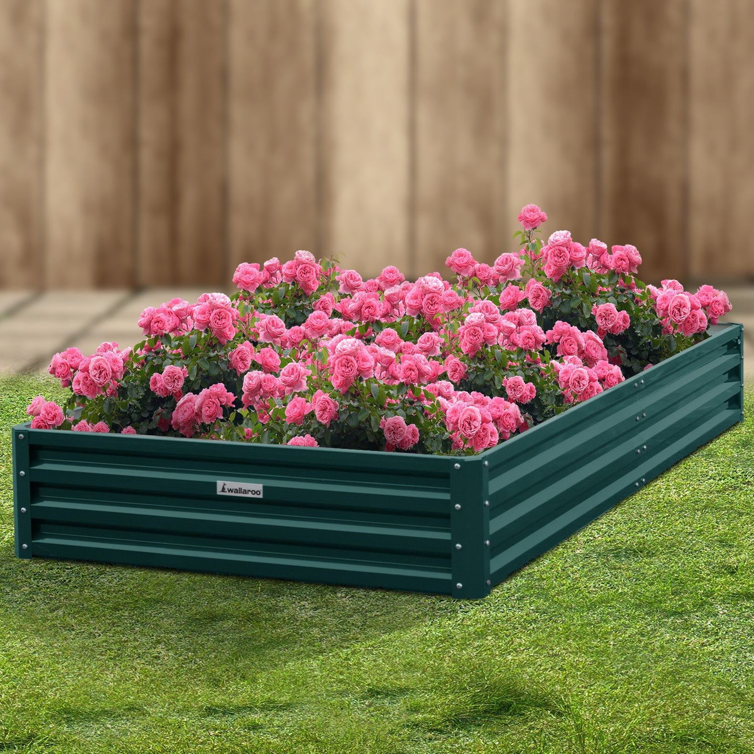 Wallaroo Garden Bed 240 x 120 x 30cm Galvanized Steel - Green Wallaroo
