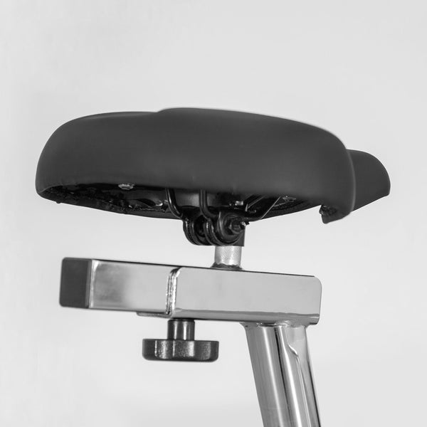 Lifespan Fitness EXER-80 Exercise Bike Lifespan