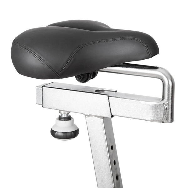 Lifespan Fitness EXER-90H Exercise Bike Lifespan