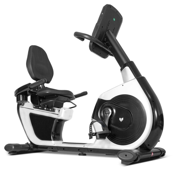 Lifespan Fitness RBX-100 Commerical Recumbent Bike Lifespan