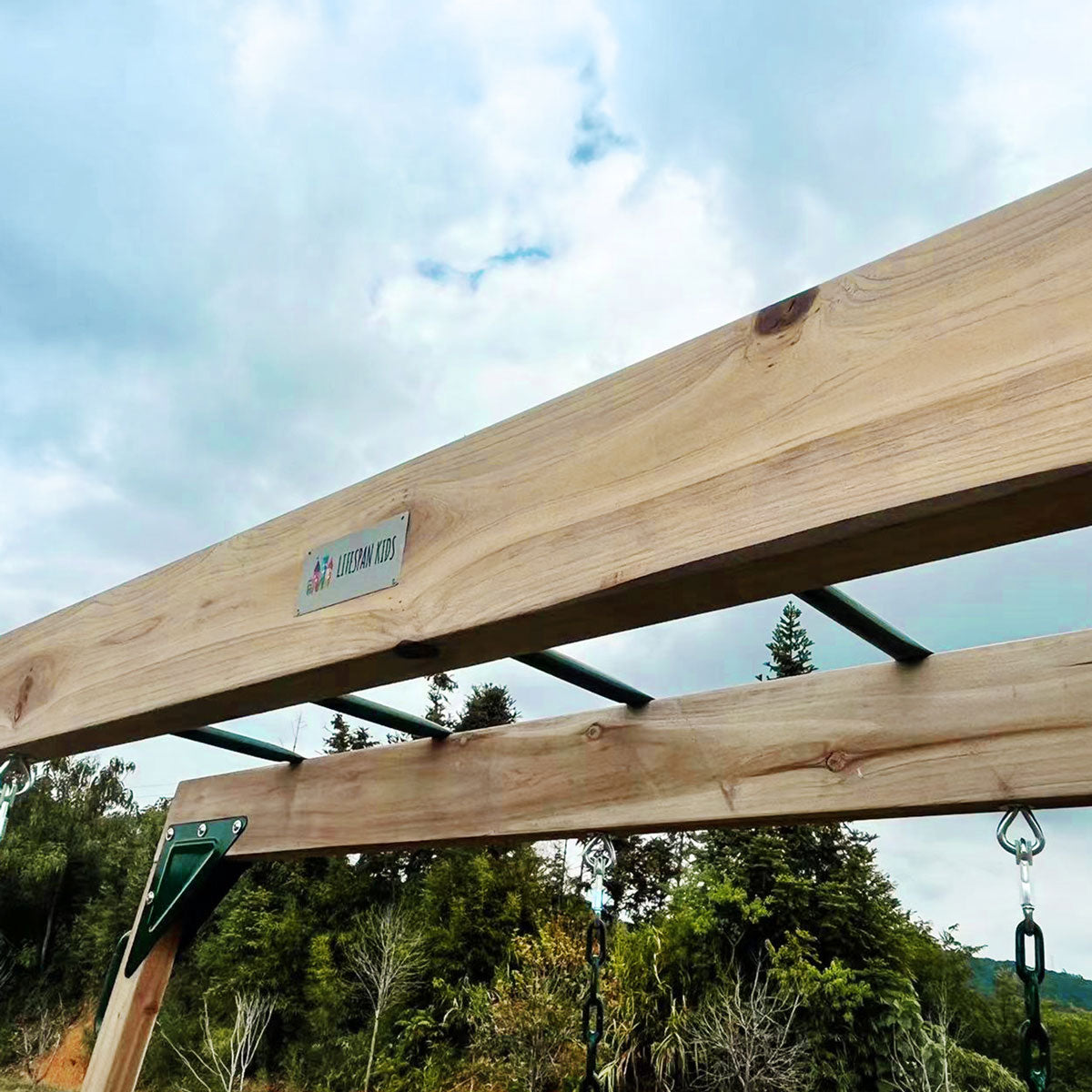 Lifespan Kids Daintree 2-in-1 Monkey Bars & Swing Set Lifespan