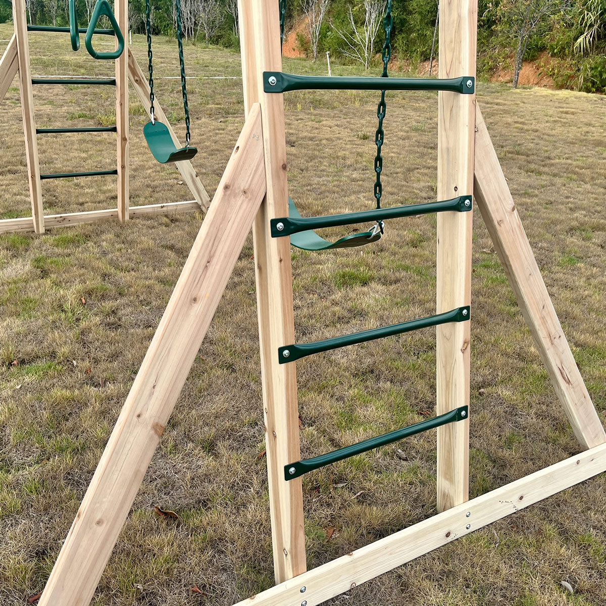 Lifespan Kids Daintree 2-in-1 Monkey Bars & Swing Set Lifespan