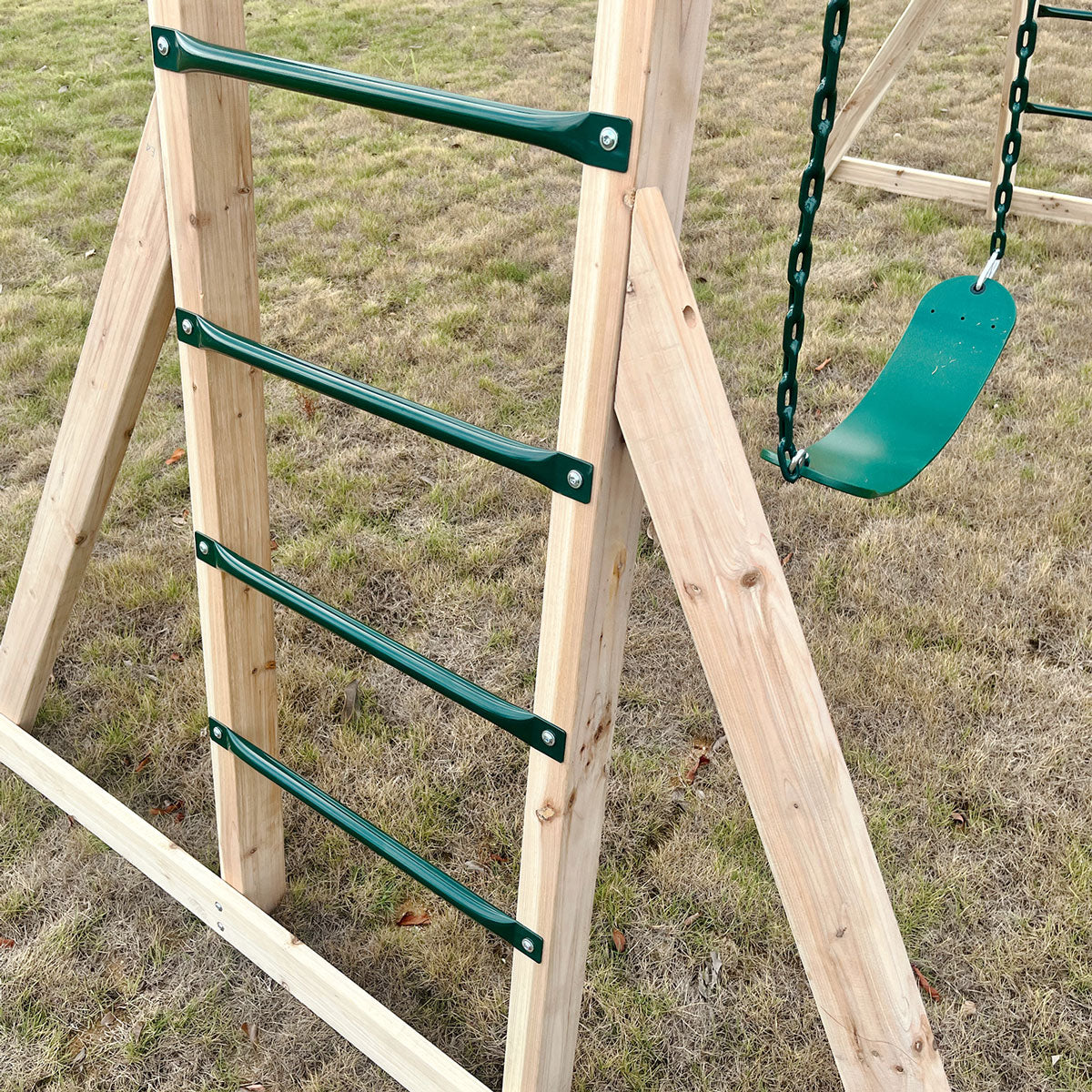 Lifespan Kids Daintree 2-in-1 Monkey Bars & Swing Set Lifespan