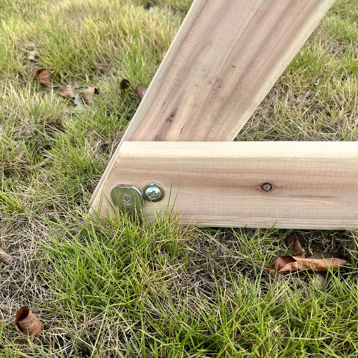 Lifespan Kids Daintree 2-in-1 Monkey Bars & Swing Set Lifespan