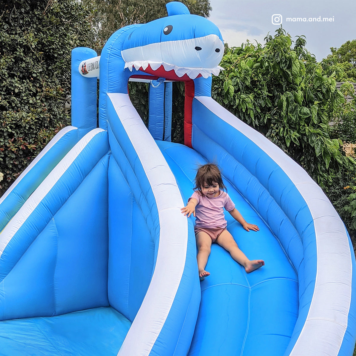 Lifespan Kids Sharky Slide & Splash Inflatable Lifespan