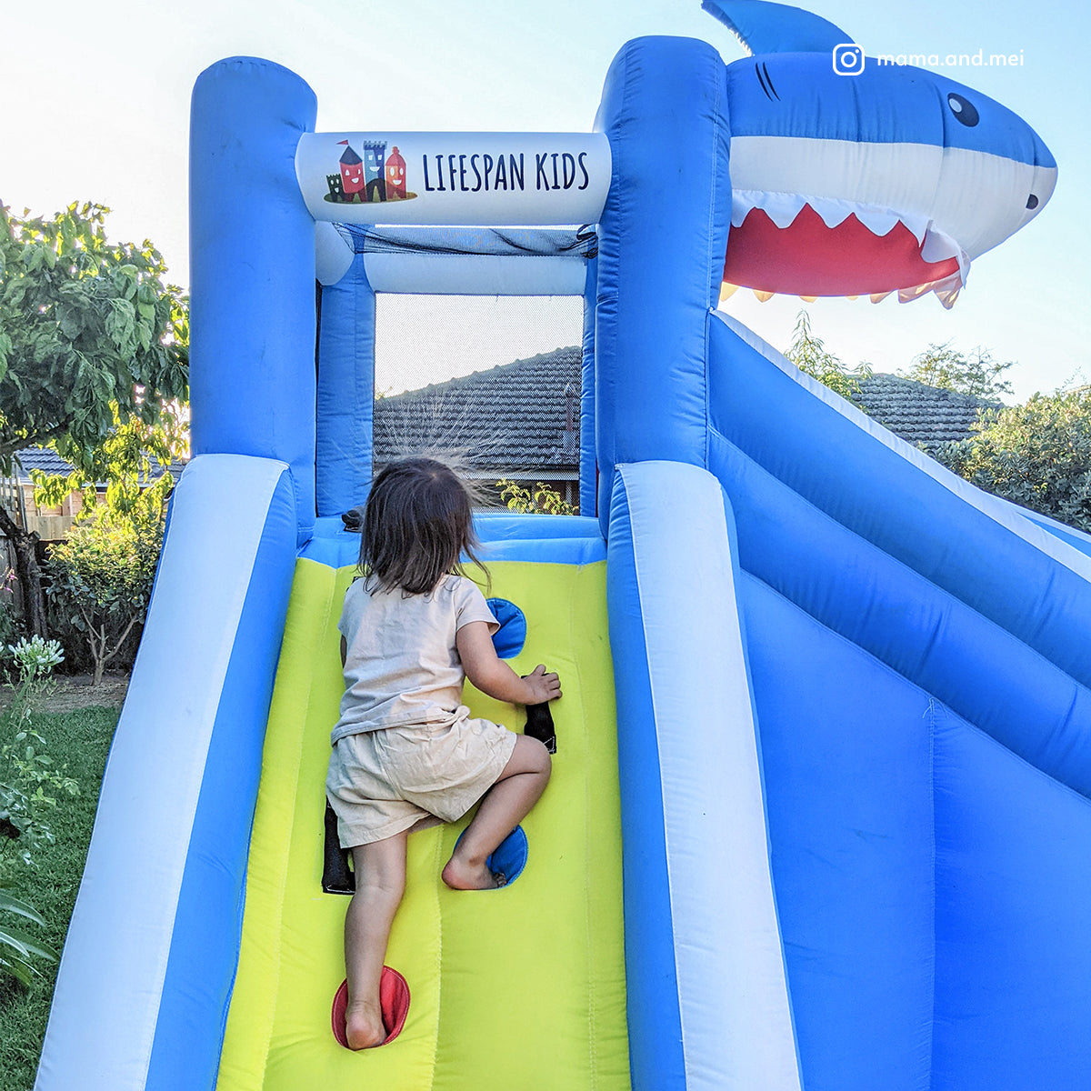Lifespan Kids Sharky Slide & Splash Inflatable Lifespan
