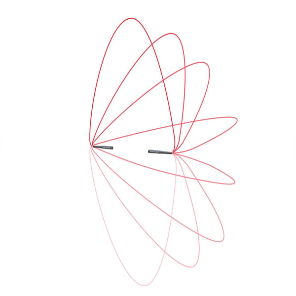 Reebok Skipping Jump Rope (Black/Red, 280cm) Reebok