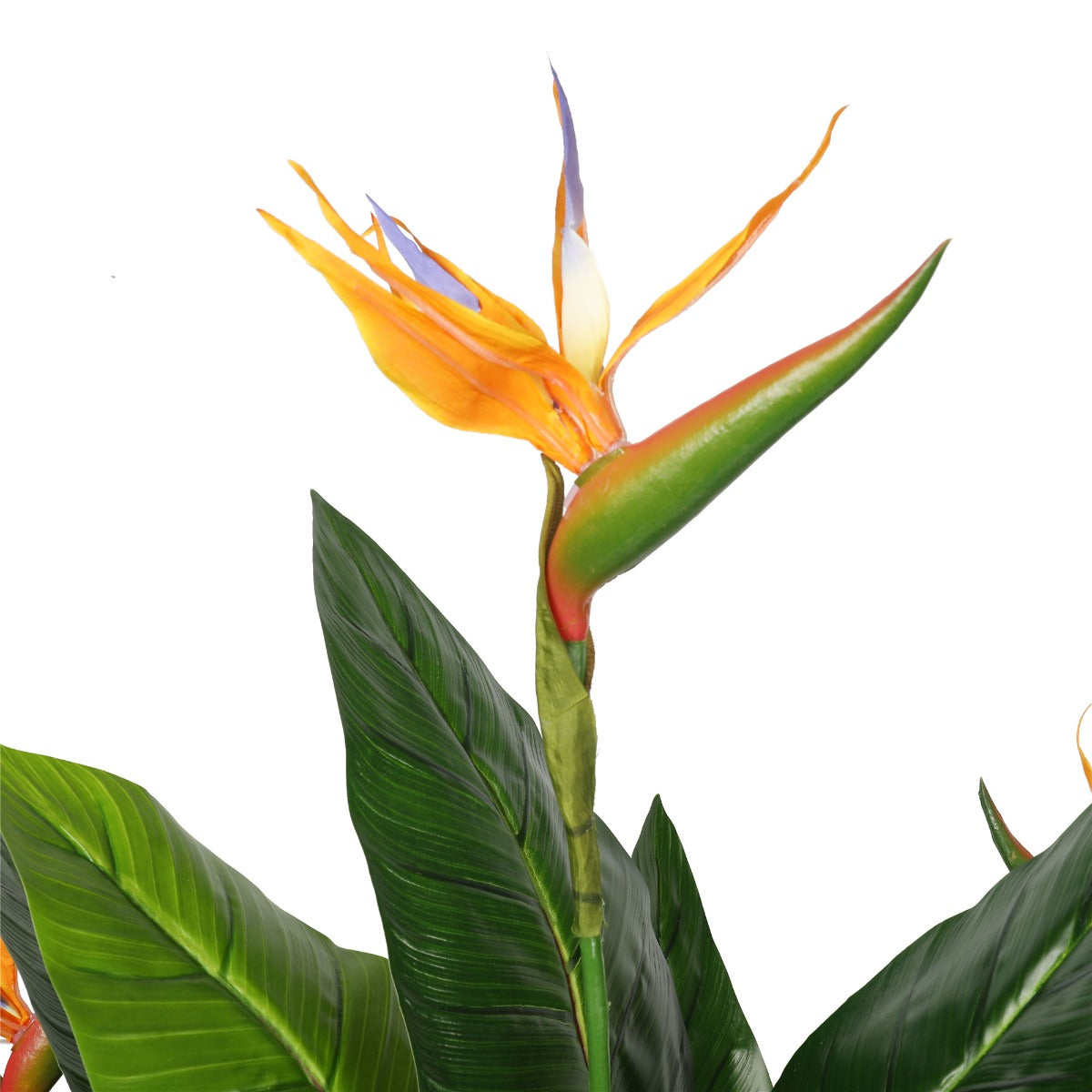 Artificial Potted 150cm Bird of Paradise Plant freeshipping - Awezingly